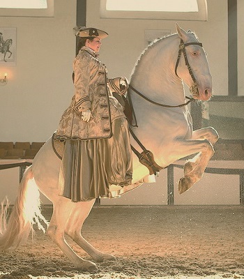Reiterin auf Pferd während eines Kunststückes